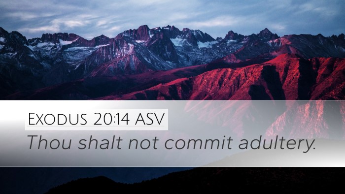 Exodus 20:14 ASV Bible Verse Image