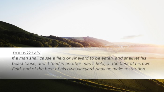 Exodus 22:5 ASV Desktop Wallpaper - If a man shall cause a field or vineyard to be - Desktop Bible Verse Wallpaper