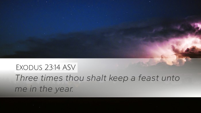 Exodus 23:14 ASV Bible Verse Image