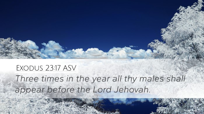 Exodus 23:17 ASV Bible Verse Image