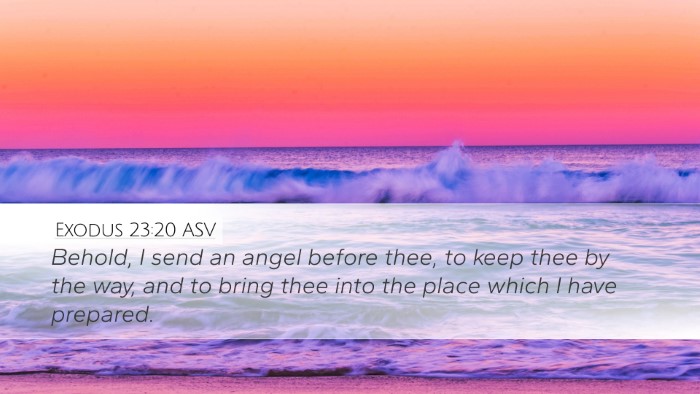 Exodus 23:20 ASV Bible Verse Image