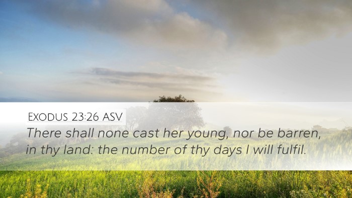 Exodus 23:26 ASV Bible Verse Image