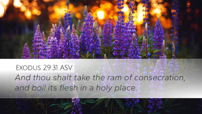 Exodus 29:31 ASV Bible Verse Image