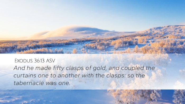 Exodus 36:13 ASV Bible Verse Image