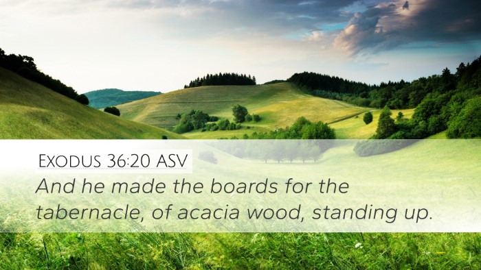 Exodus 36:20 ASV Bible Verse Image