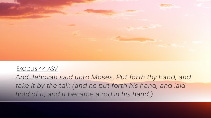 Exodus 4:4 ASV Desktop Wallpaper - And Jehovah said unto Moses, Put forth thy hand, - Desktop Bible Verse Wallpaper