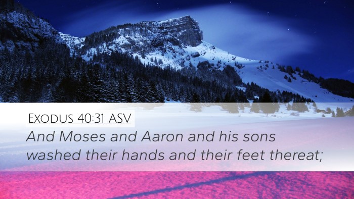 Exodus 40:31 ASV Bible Verse Image