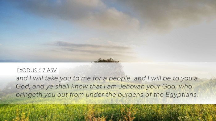 Exodus 6:7 ASV Bible Verse Image