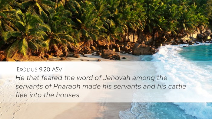 Exodus 9:20 ASV Bible Verse Image