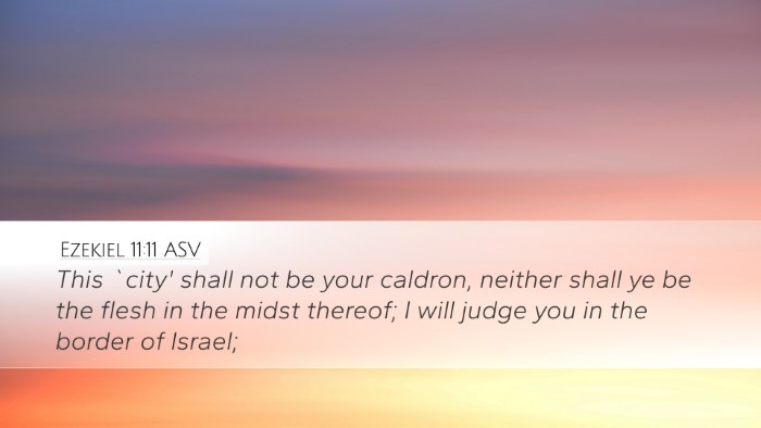 Ezekiel 11:11 ASV Desktop Wallpaper - This `city' shall not be your caldron, neither - Desktop Bible Verse Wallpaper