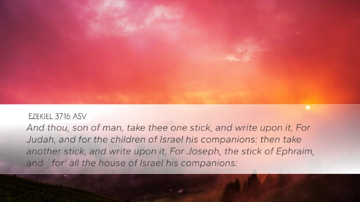 Ezekiel 37:16 ASV Bible Verse Image