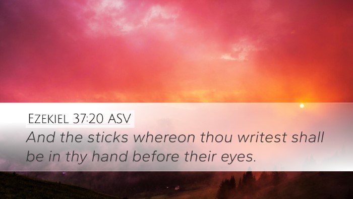Ezekiel 37:20 ASV Bible Verse Image