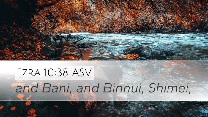 Ezra 10:38 ASV Desktop Wallpaper - and Bani, and Binnui, - Desktop Bible Verse Wallpaper