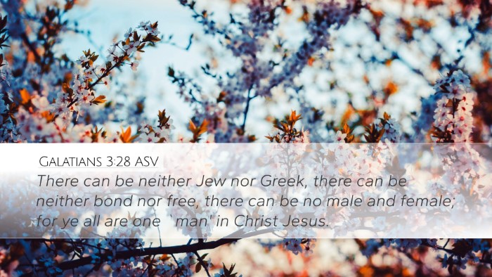 Galatians 3:28 ASV Bible Verse Image