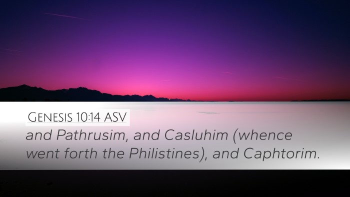 Genesis 10:14 ASV Bible Verse Image