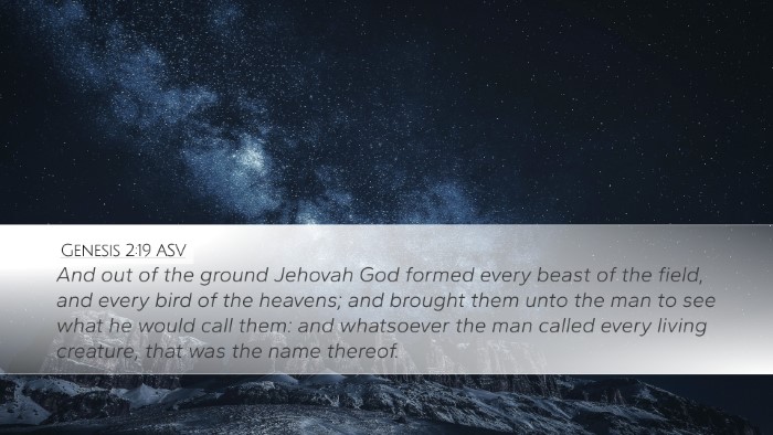 Genesis 2:19 ASV Bible Verse Image