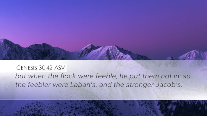 Genesis 30:42 ASV Desktop Wallpaper - but when the flock were feeble, he put them not - Desktop Bible Verse Wallpaper