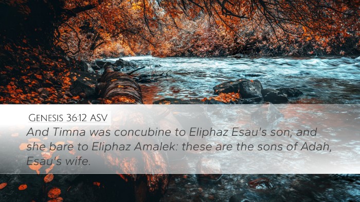 Genesis 36:12 ASV Bible Verse Image