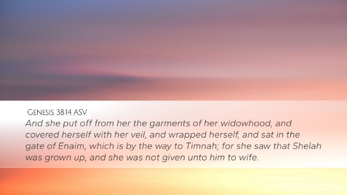 Genesis 38:14 ASV Bible Verse Image