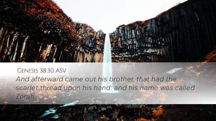 Genesis 38:30 ASV Bible Verse Image