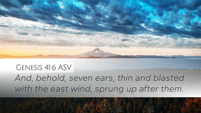 Genesis 41:6 ASV Bible Verse Image