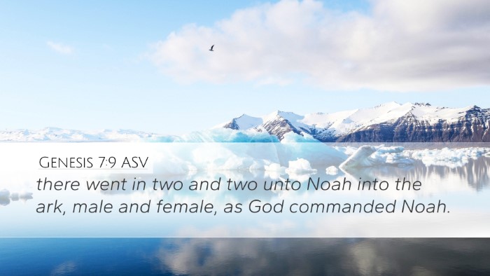 Genesis 7:9 ASV Desktop Wallpaper - there went in two and two unto Noah into the ark, - Desktop Bible Verse Wallpaper