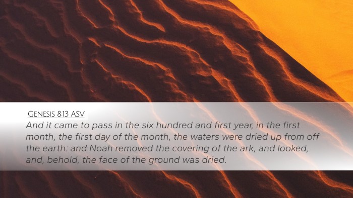 Genesis 8:13 ASV Bible Verse Image