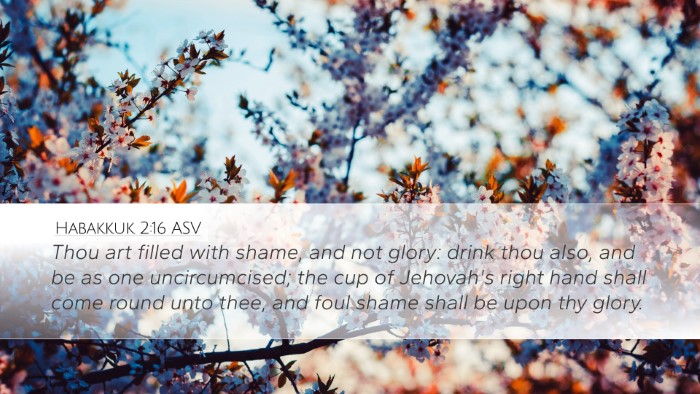Habakkuk 2:16 ASV Bible Verse Image