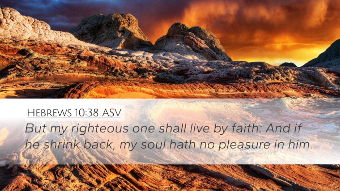 Hebrews 10:38 ASV Bible Verse Image