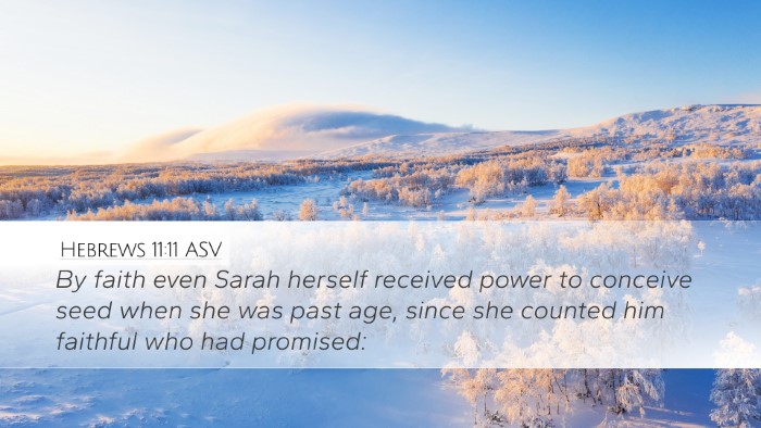 Hebrews 11:11 ASV Bible Verse Image