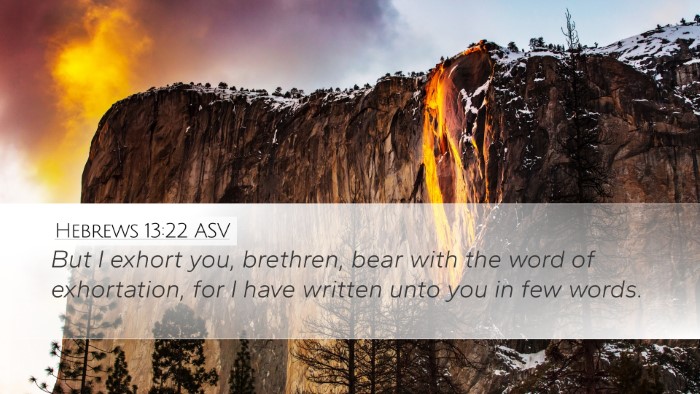 Hebrews 13:22 ASV Bible Verse Image