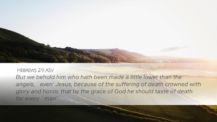 Hebrews 2:9 ASV Bible Verse Image