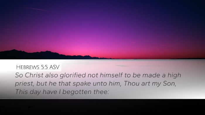 Hebrews 5:5 ASV Bible Verse Image