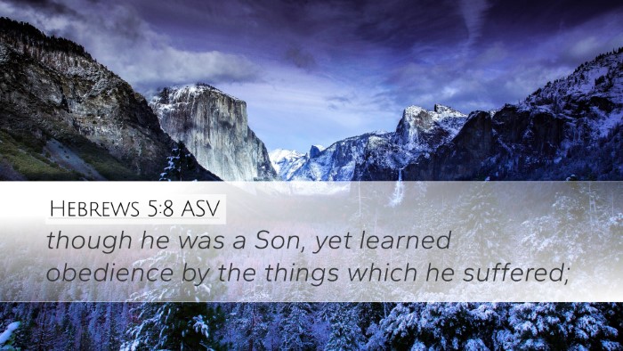 Hebrews 5:8 ASV Bible Verse Image