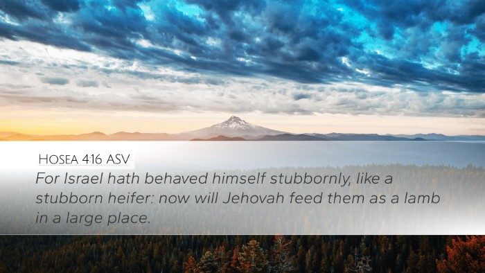 Hosea 4:16 ASV Bible Verse Image