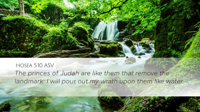 Hosea 5:10 ASV Bible Verse Image