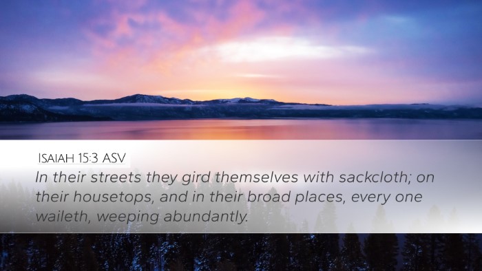 Isaiah 15:3 ASV Bible Verse Image