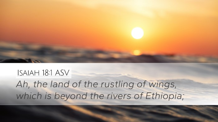 Isaiah 18:1 ASV Bible Verse Image