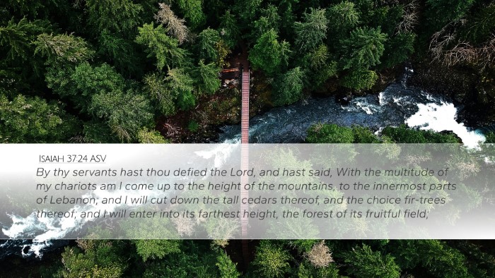 Isaiah 37:24 ASV Bible Verse Image