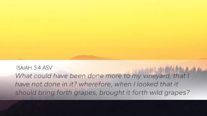 Isaiah 5:4 ASV Bible Verse Image