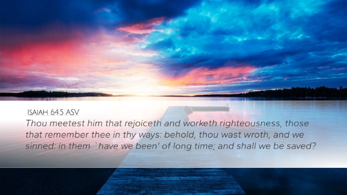 Isaiah 64:5 ASV Bible Verse Image