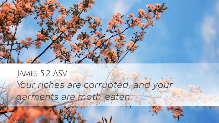 James 5:2 ASV Bible Verse Image