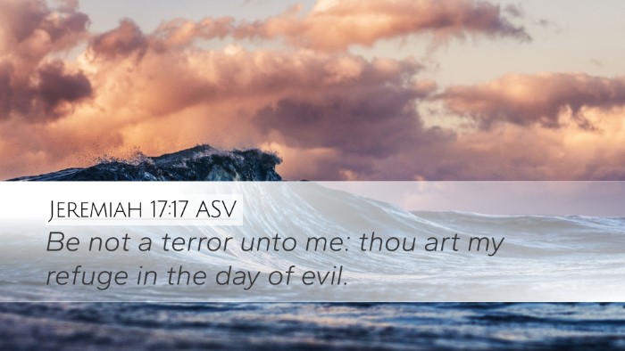 Jeremiah 17:17 ASV Bible Verse Image