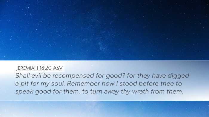 Jeremiah 18:20 ASV Bible Verse Image