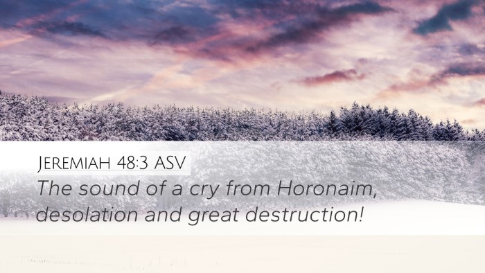 Jeremiah 48:3 ASV Bible Verse Image