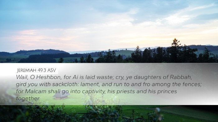 Jeremiah 49:3 ASV Bible Verse Image