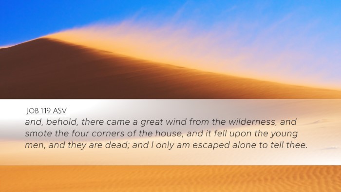 Job 1:19 ASV Bible Verse Image