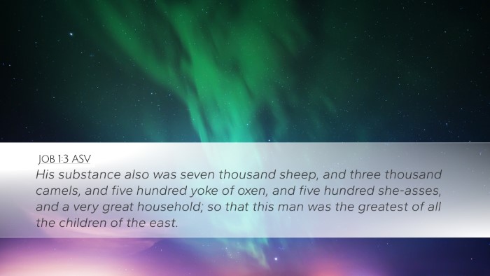 Job 1:3 ASV Bible Verse Image