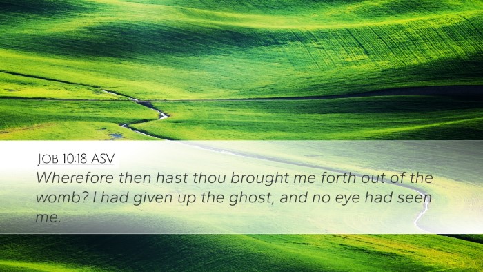 Job 10:18 ASV Bible Verse Image