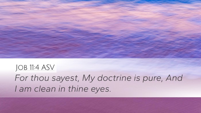 Job 11:4 ASV Desktop Wallpaper - For thou sayest, My doctrine is pure, And I am - Desktop Bible Verse Wallpaper